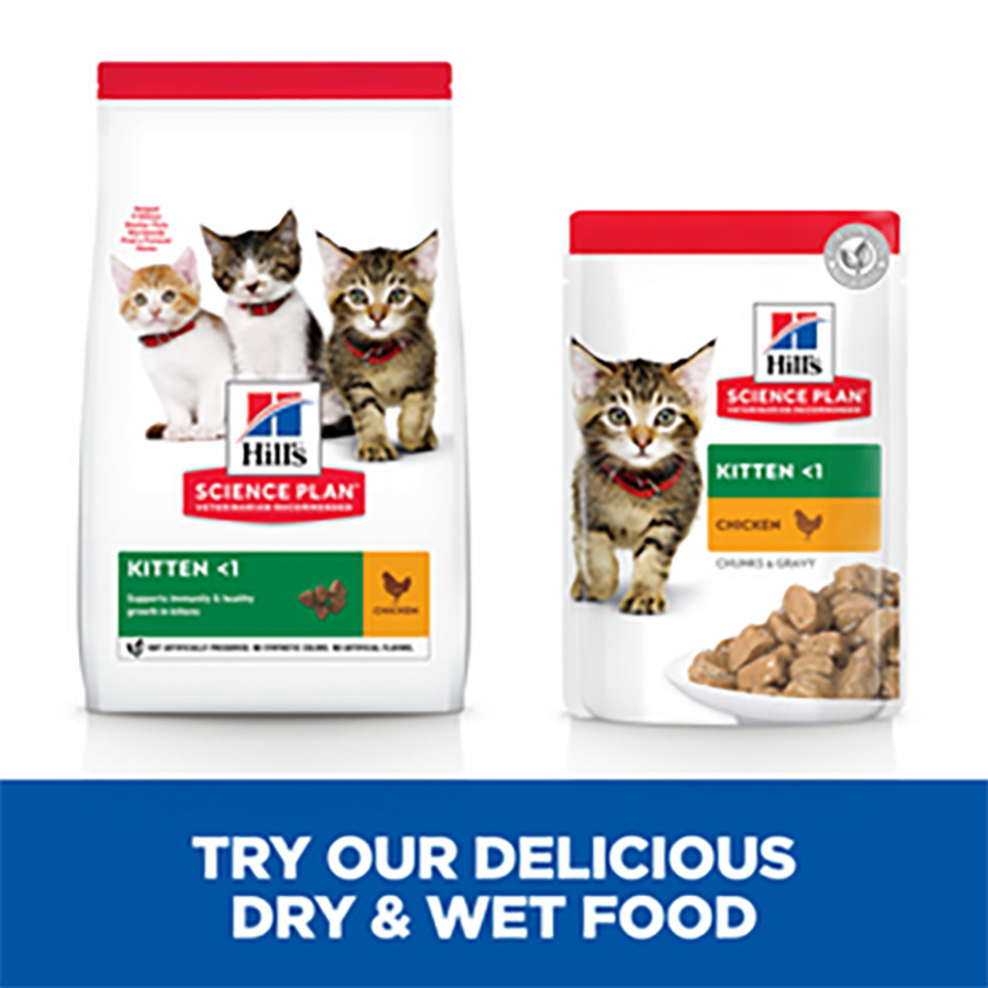 Hill's Science Plan Dry Kitten Food Chicken 300g | Pets At Home