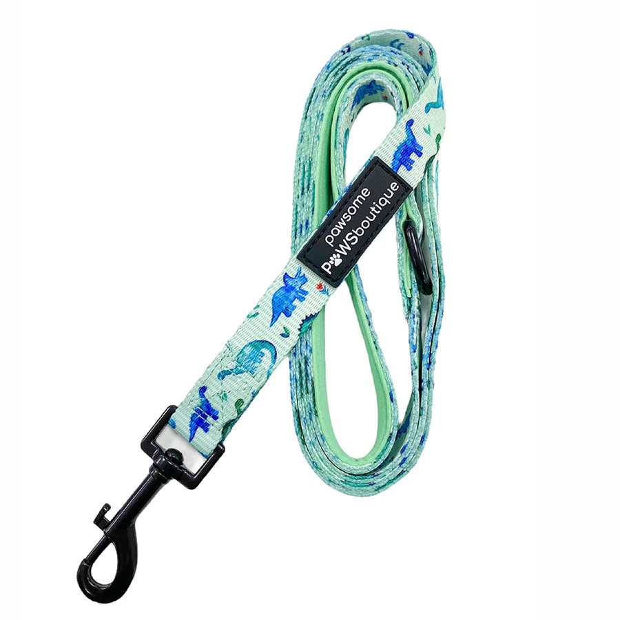 Pawsome Paws Boutique Dinky Dino Patterned Fabric Dog Lead | Pets At Home